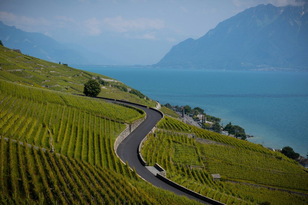 Route sinueuse à travers les vignes en terrasses au-dessus du Léman